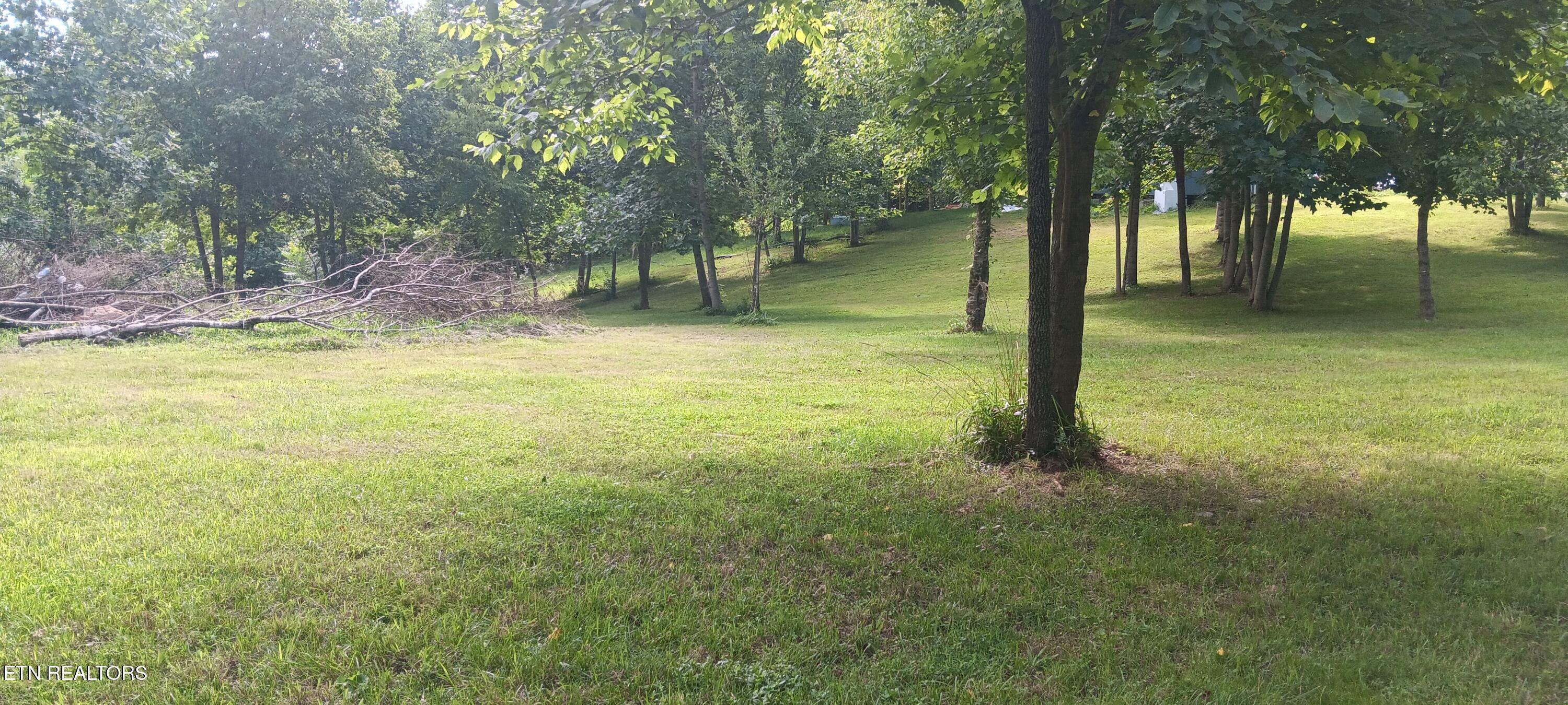 Image 3: 20260717_101934