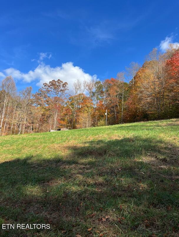 Image 3: 5 Acres | 324 Vannoy Rd, Tazewell TN