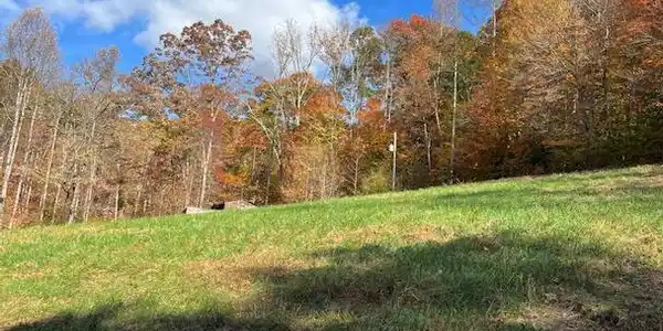 Image 3: 5 Acres | 324 Vannoy Rd, Tazewell TN