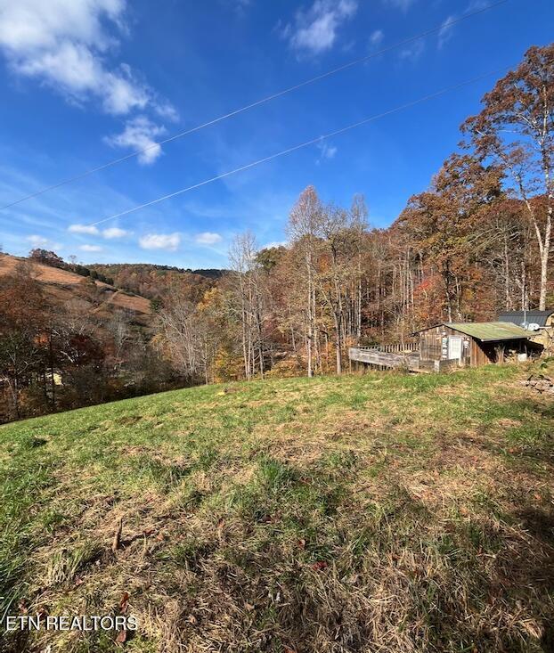 Image 4: 5 Acres | 324 Vannoy Rd, Tazewell TN