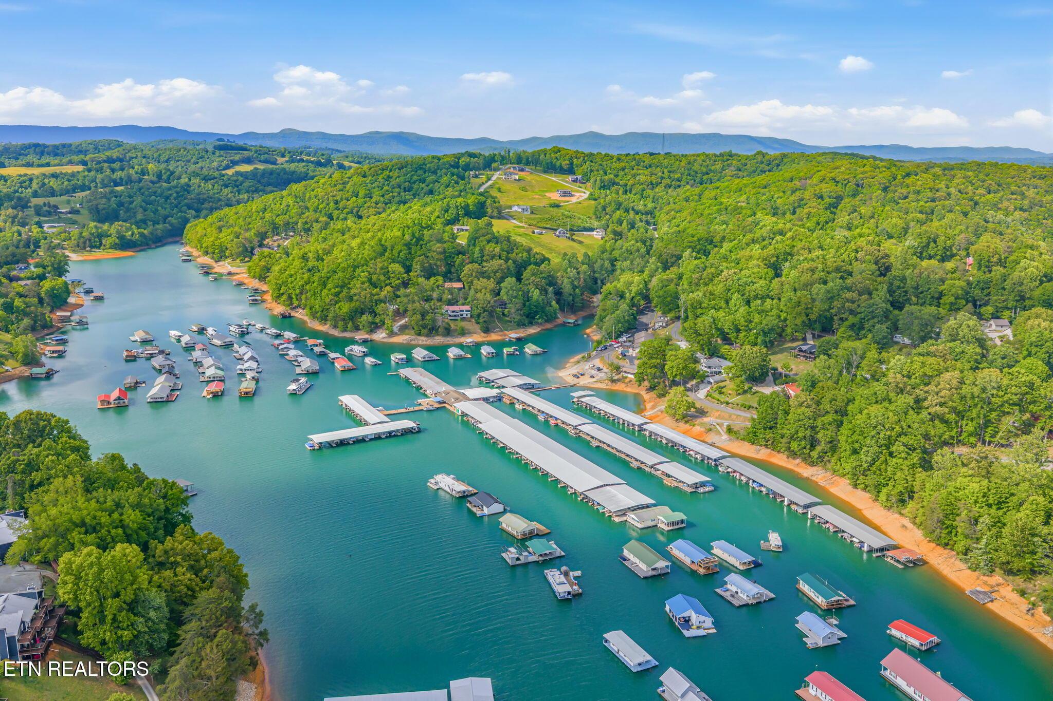 Image 3: VERY NEARBY SPRINGS DOCK MARINA