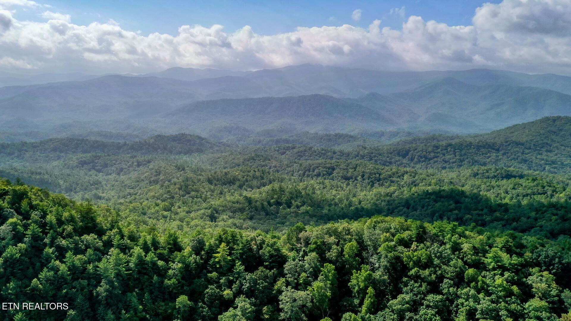 Image 1: DSC_1869-28