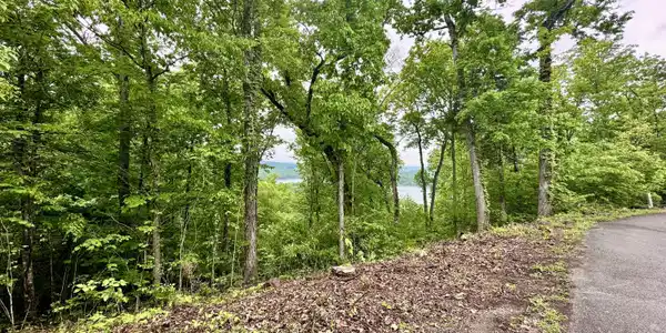 Image 4: Lot 731