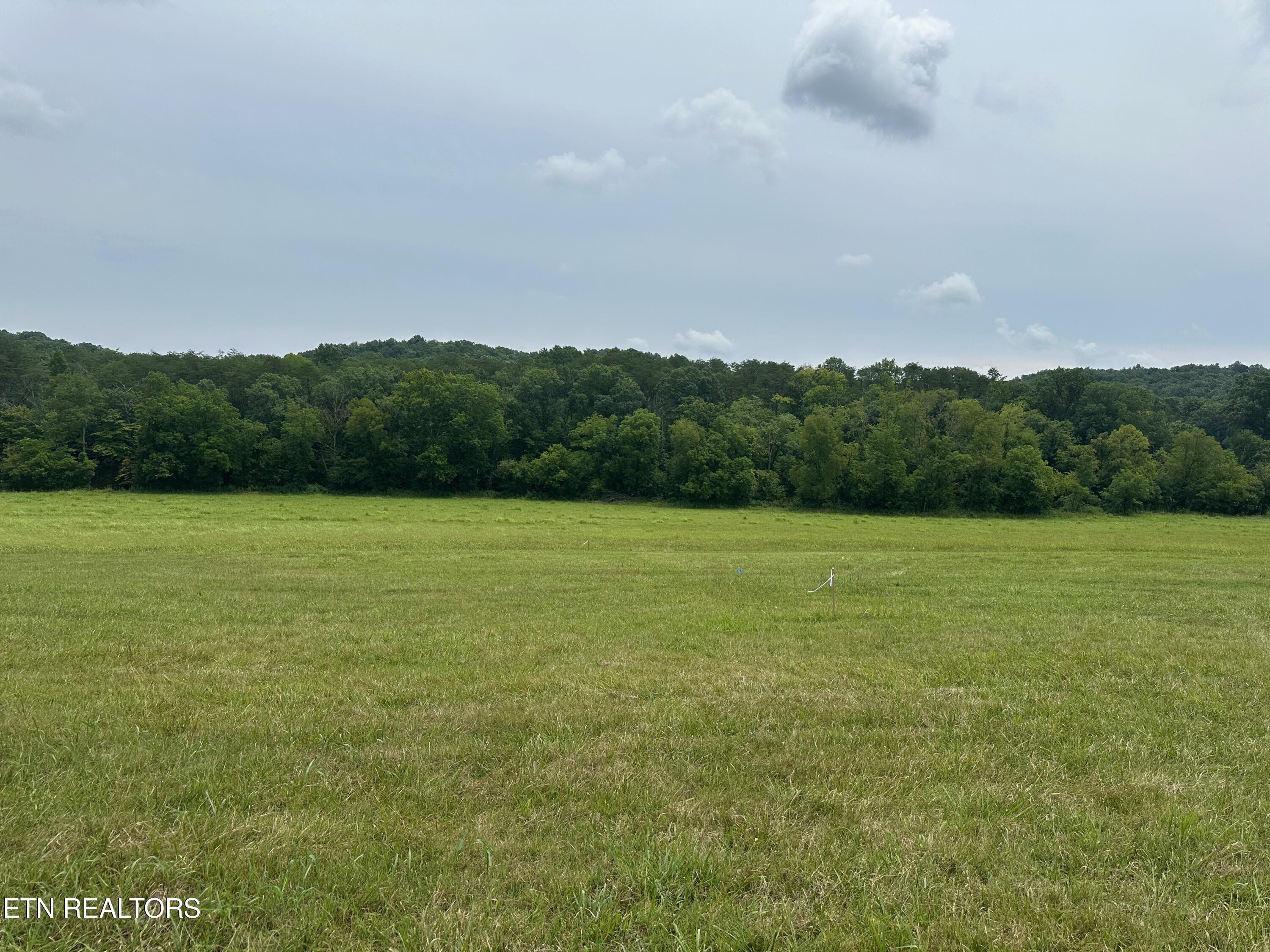 Image 3: rutledge lot1