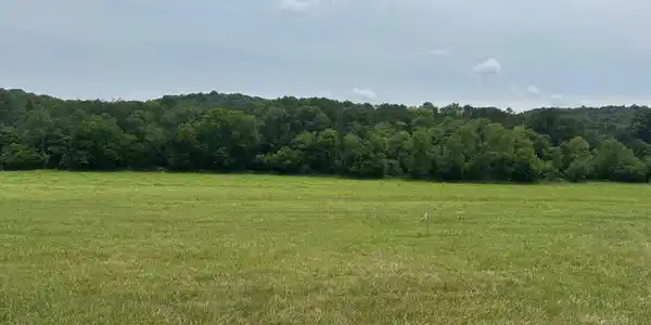 Image 3: rutledge lot1