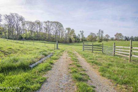 Lot 3 Richland Rd