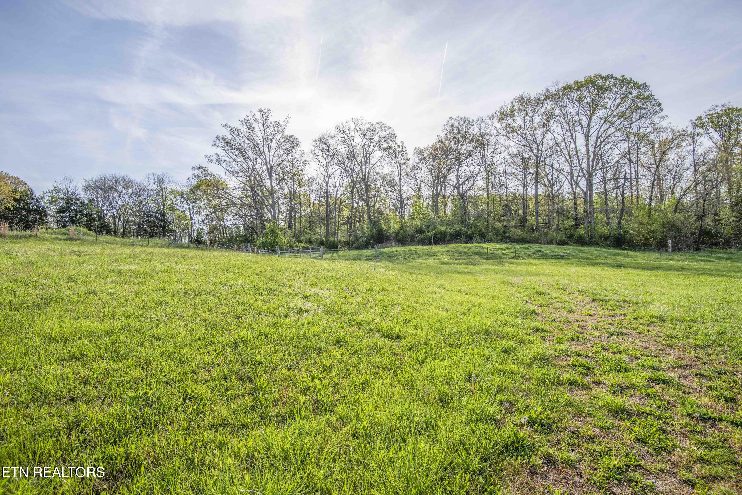 Image 2: yard 3_1