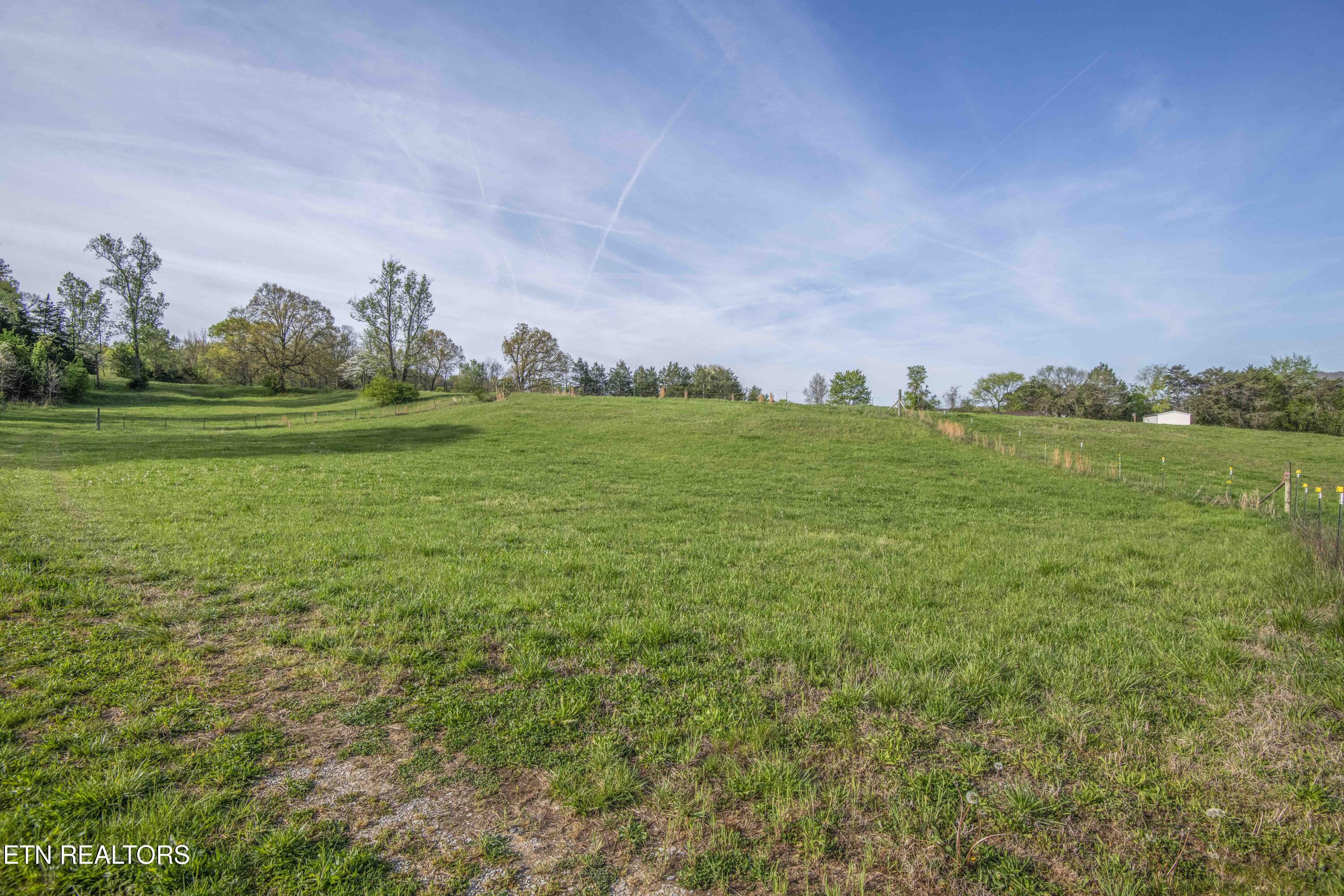 Image 3: yard 5_1