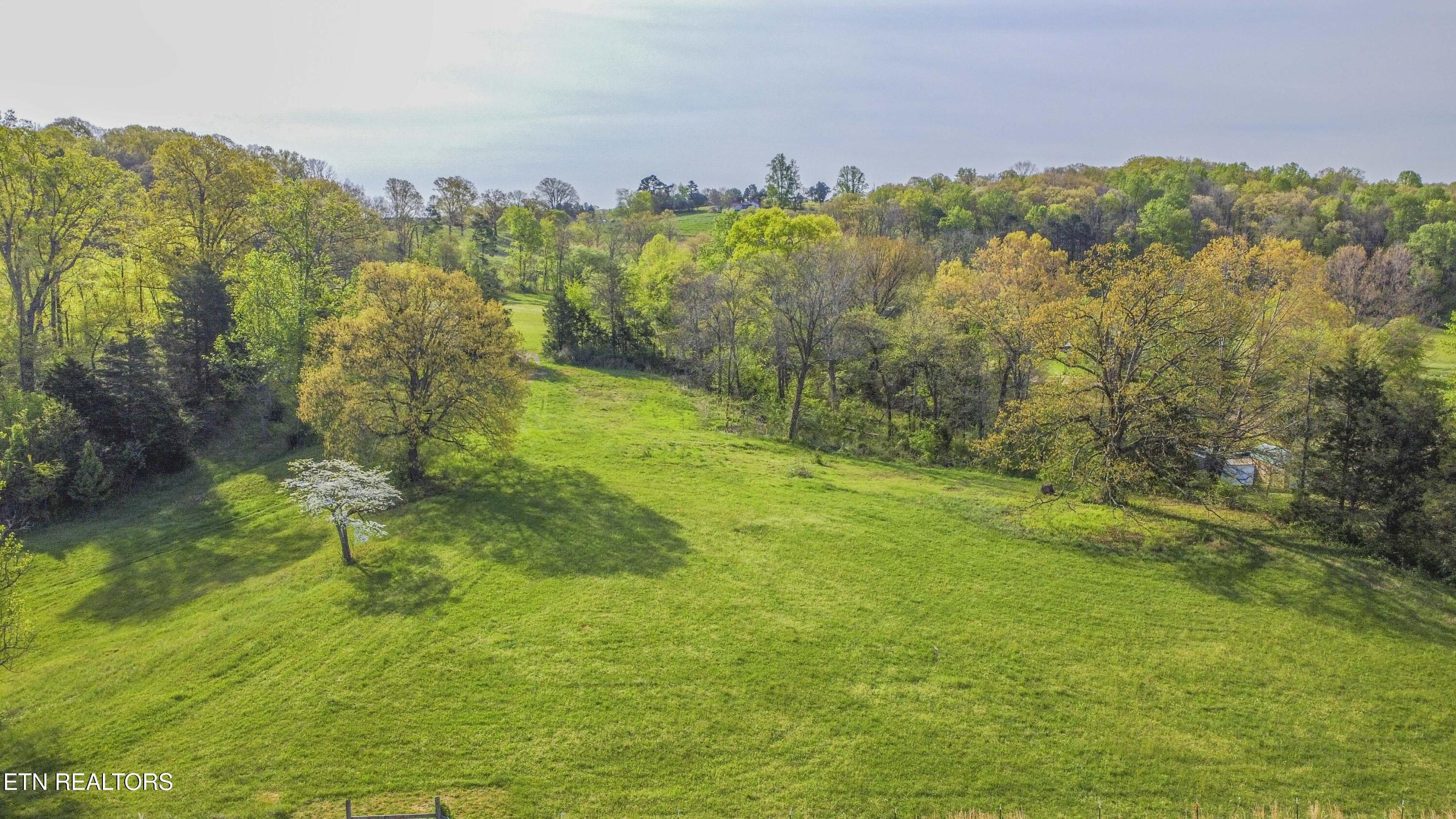 Image 4: drone 4_1