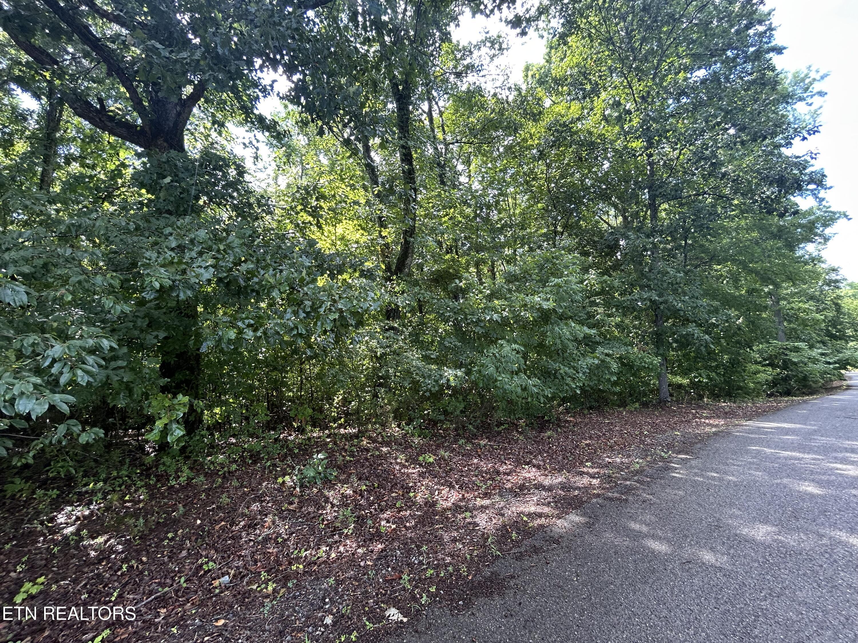 Image 3: Road view
