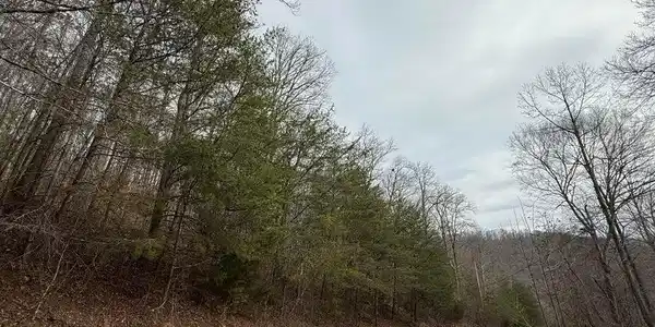 JONES RIDGE RD Rd