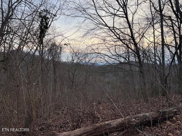 Image 3: IMG_7516