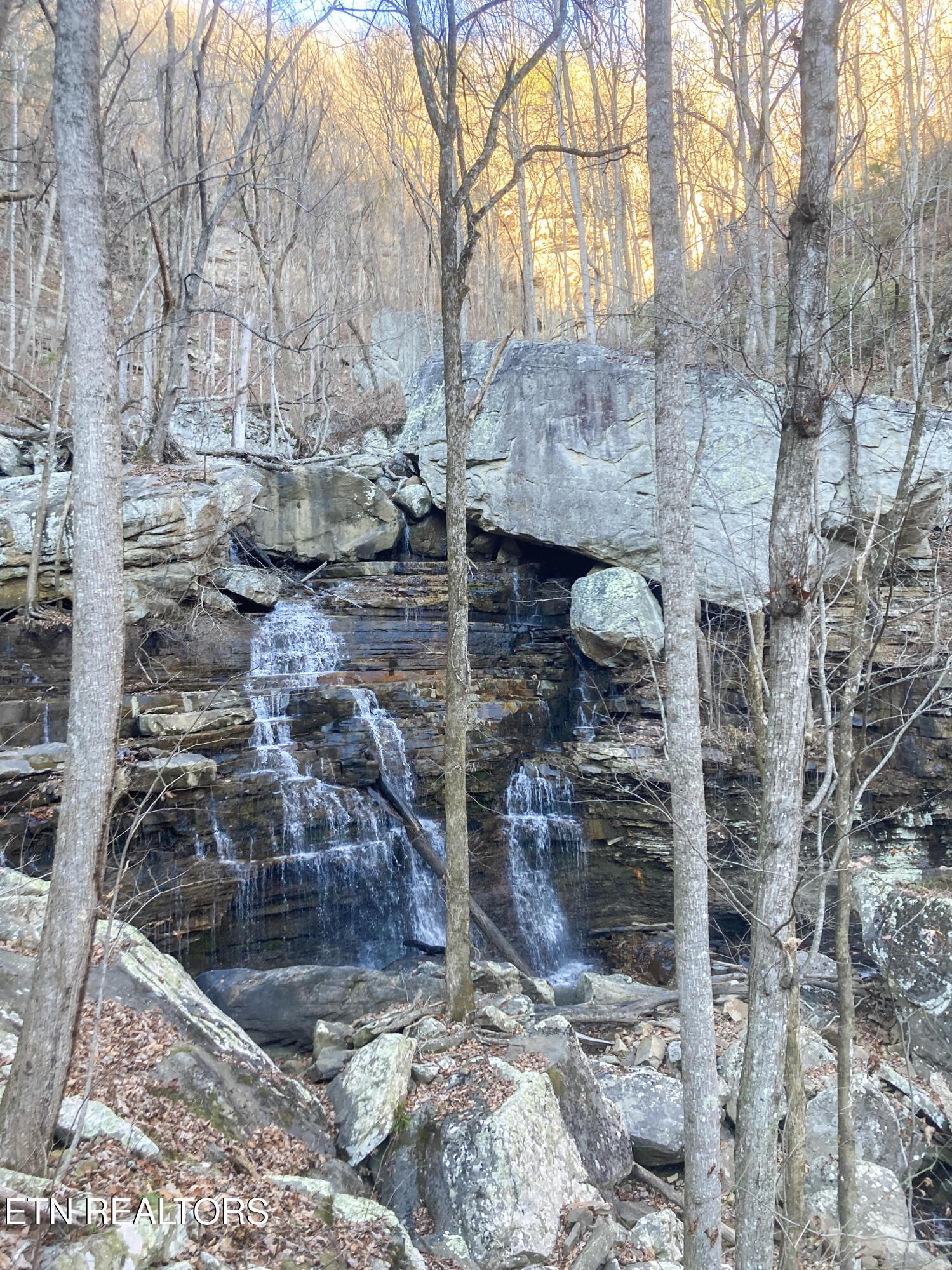 Image 2: 15-IMG_7319