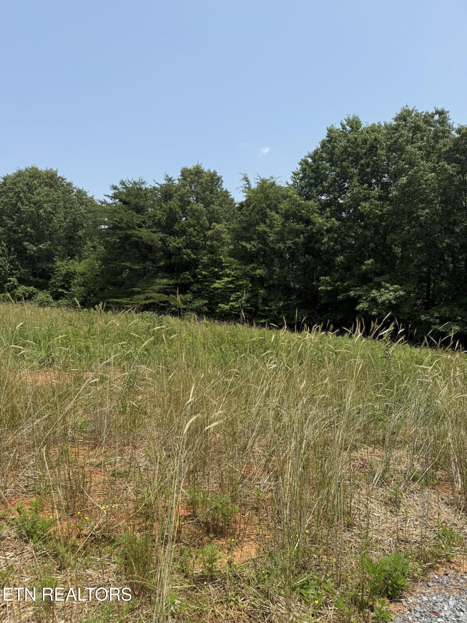 Image 3: The View on Norcross