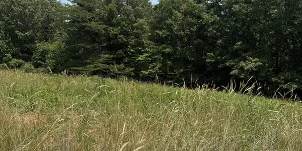 Image 3: The View on Norcross
