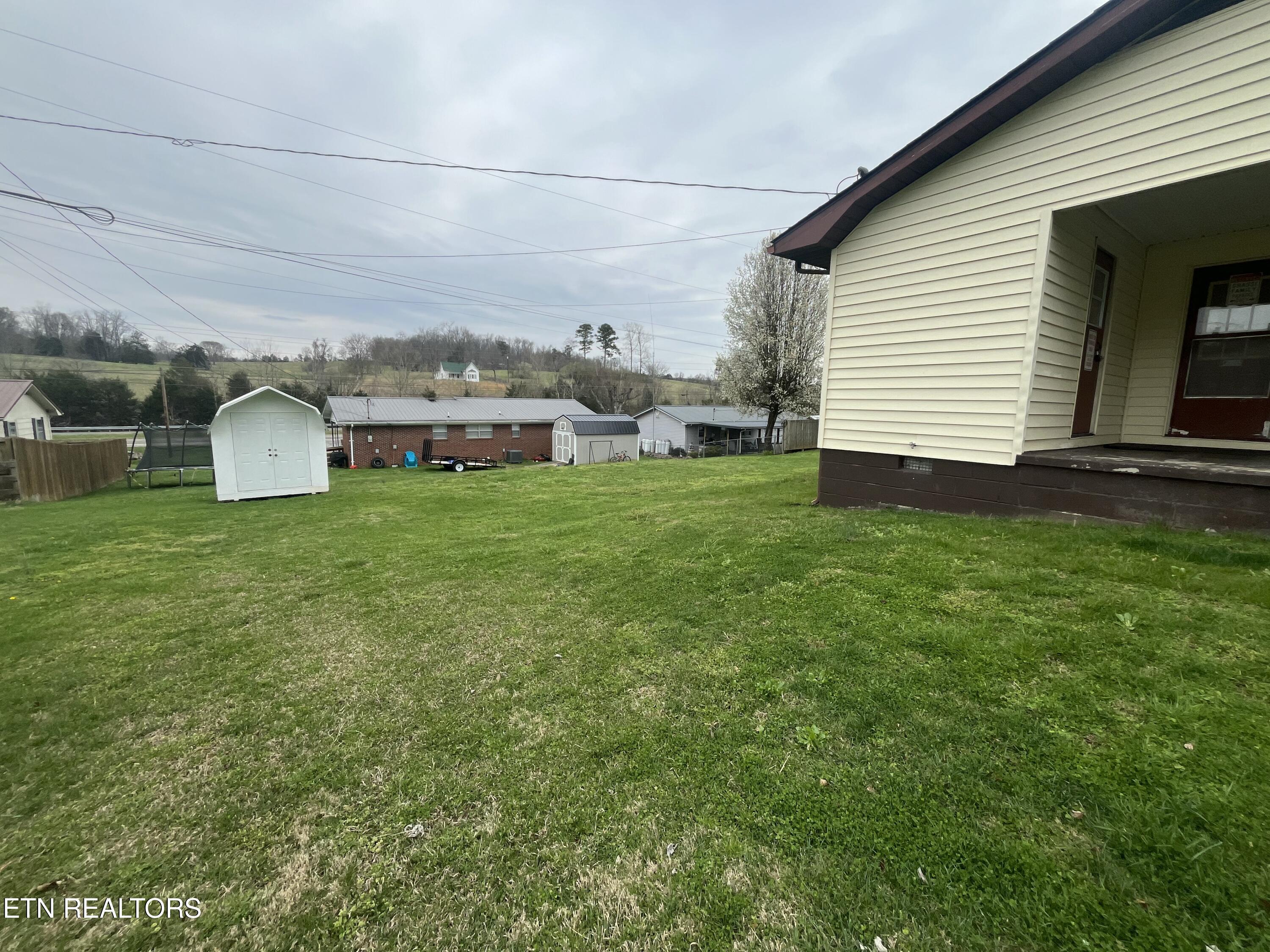 Image 4: IMG_6341