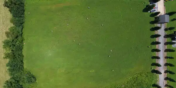 Image 4: dji_fly_20260730_121628_0013_17859402554