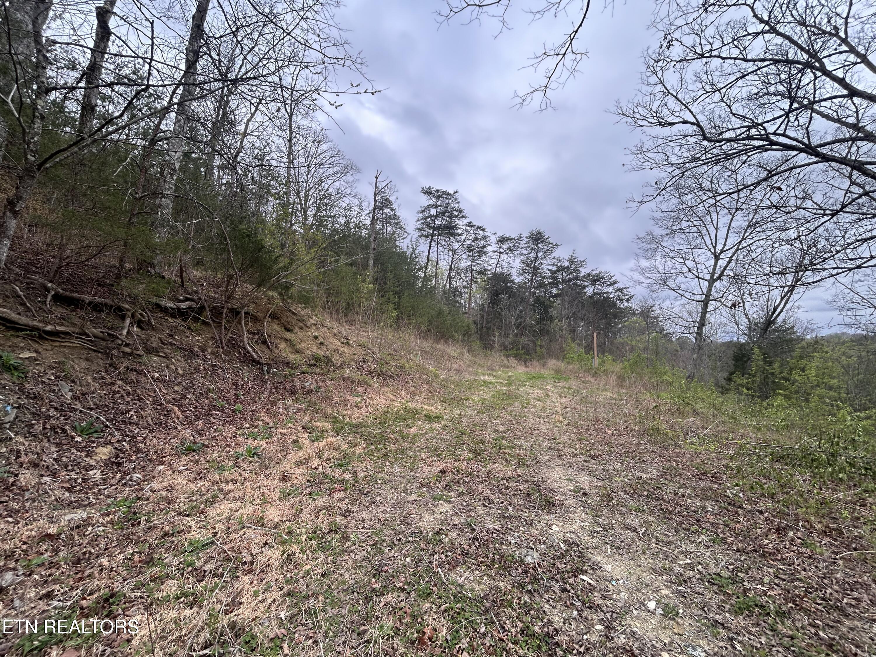 Image 2: IMG_2372
