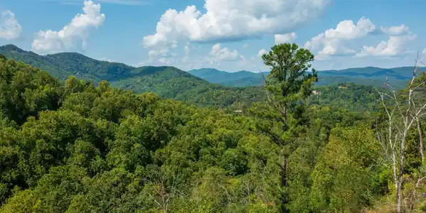 3217 Emerald Springs Loop, Lot 8