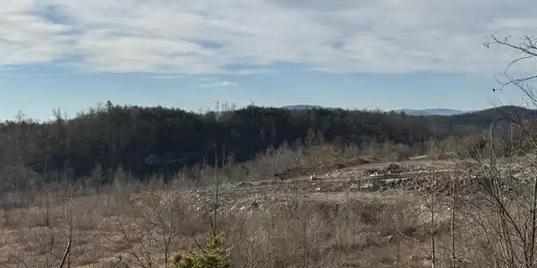Pine Mountain Rd