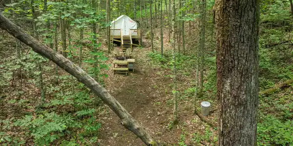 Image 4: 61_2792 happy hollow-56