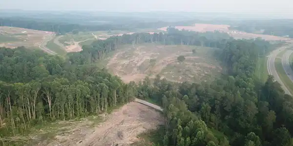 Image 2: DJI_0040