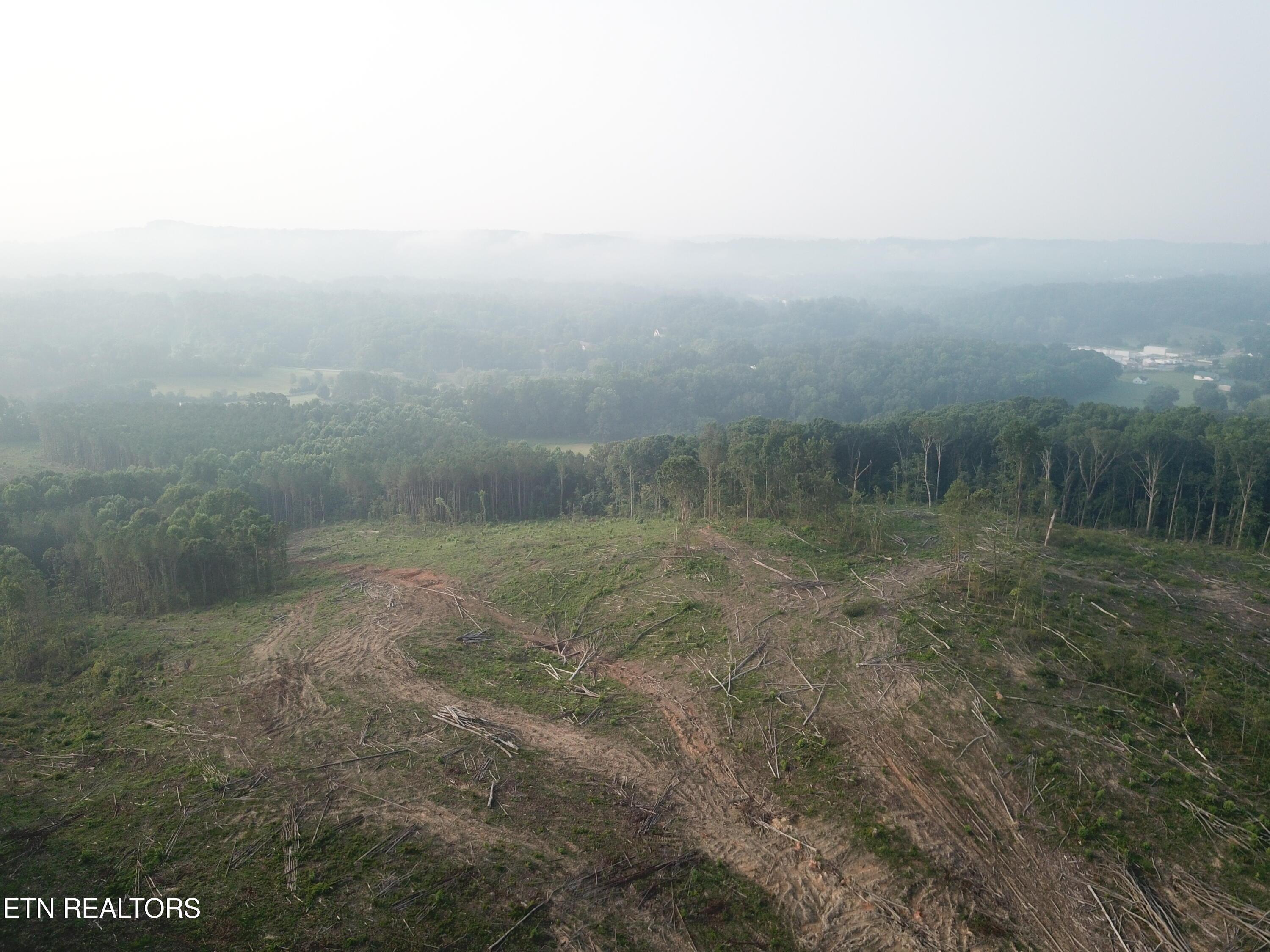 Image 3: DJI_0038