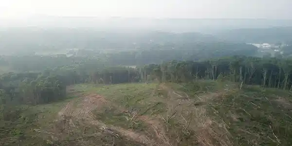 Image 3: DJI_0038