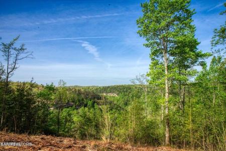 Lot 51 Grandview Way