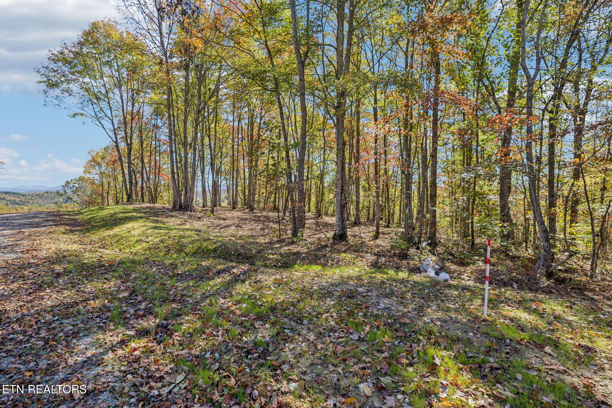 Image 4: 1-Sheep Ranch Rd - 14 - 001