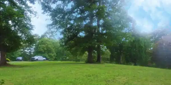 Image 3: Level cleared lake front lot
