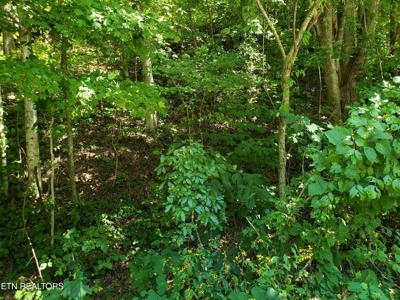 7.22ac Livingston Hwy