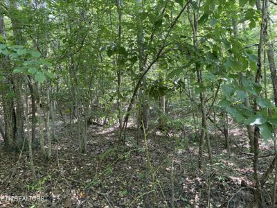 LOT 532 Whistle Valley Rd