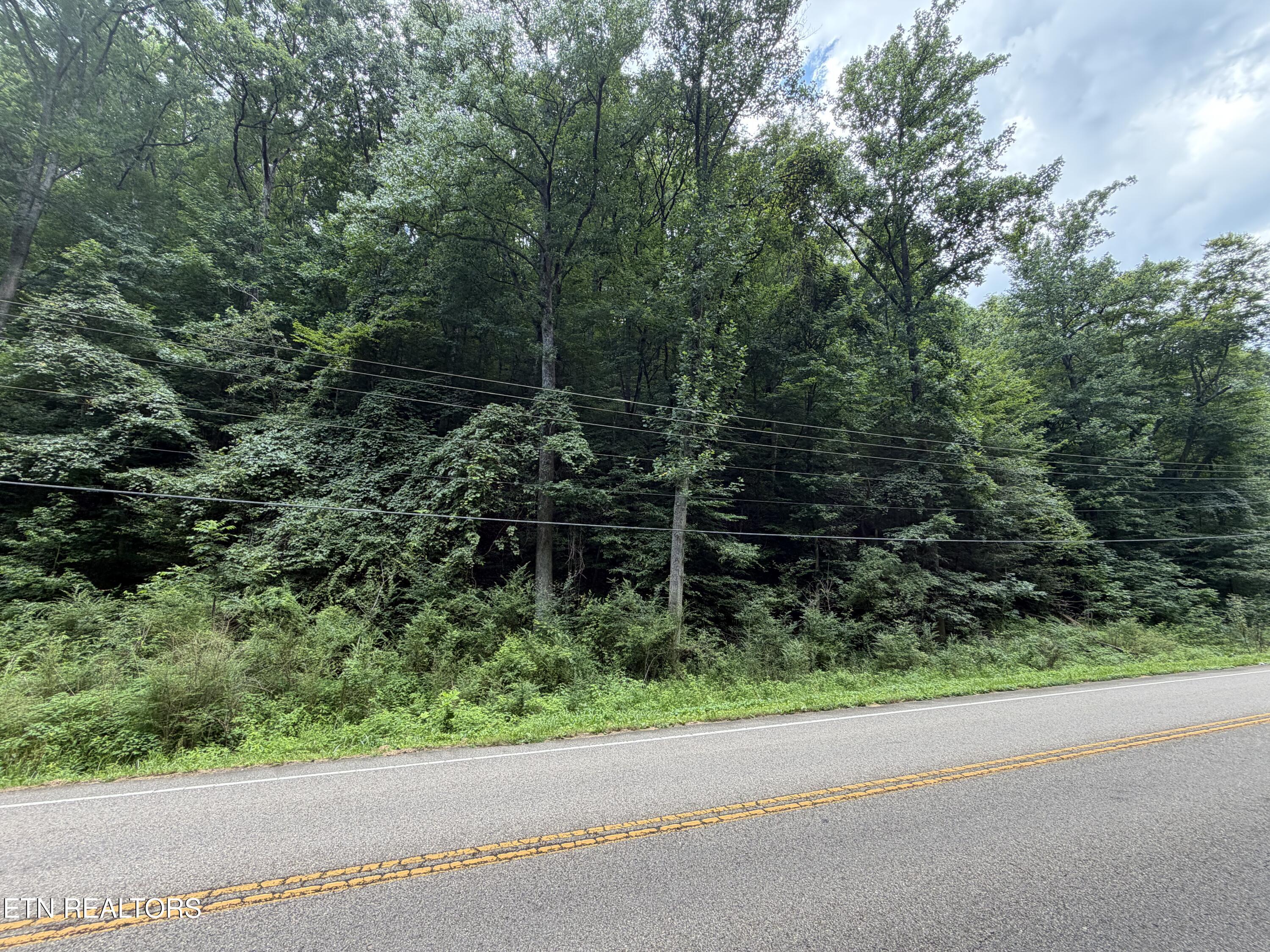 Image 2: IMG_0558