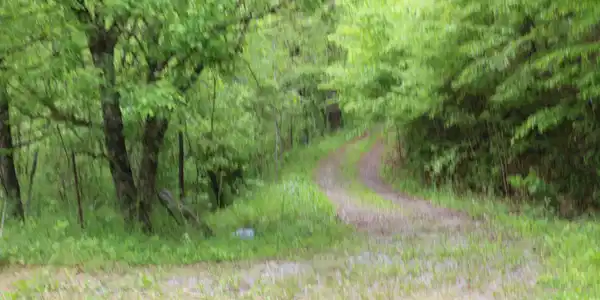 Leatherwood Rd