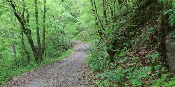 Image 3: 20210810034048102131000000-o