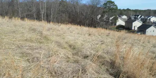 Lot 3, Dogwood Rd