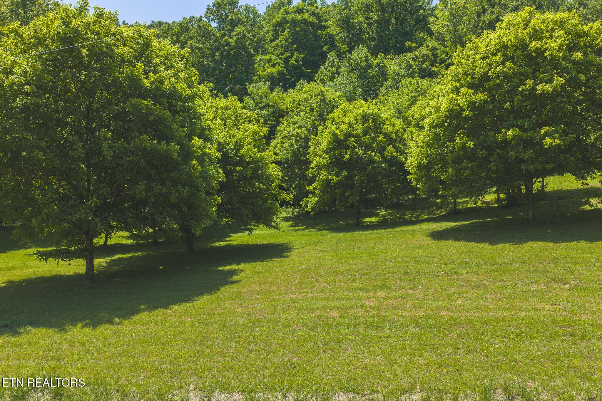 Image 4: DJI_20260513132103_0018_D