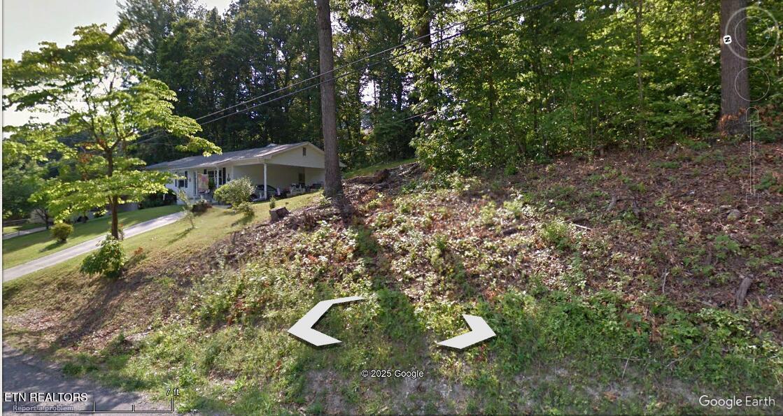 Image 3: Lot and east neighbor