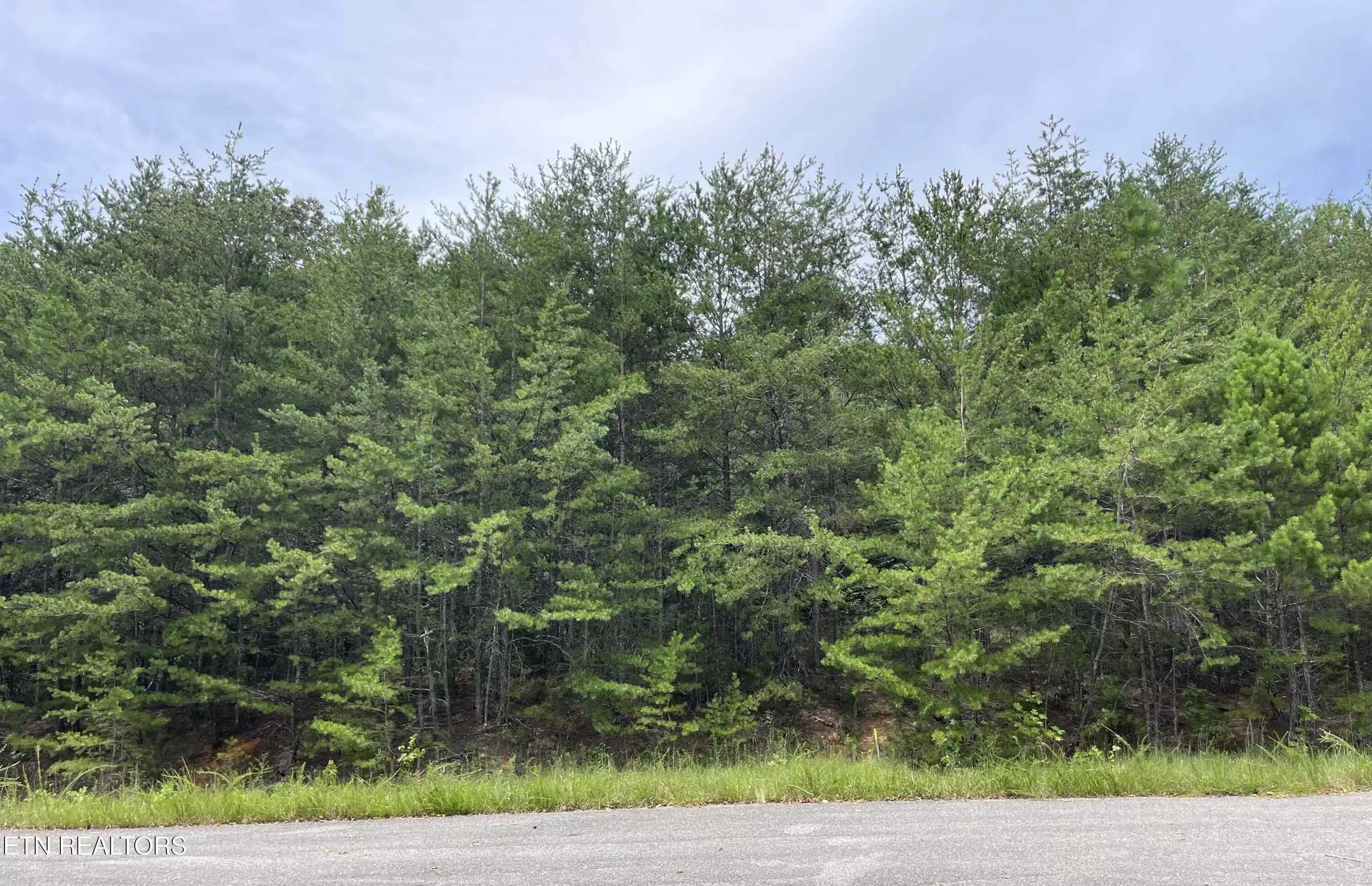 Image 1: 742 White Dogwood Drive