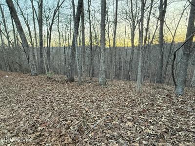 Big Creek Rd
