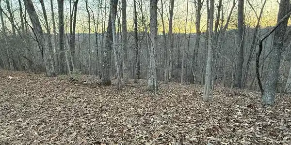 Big Creek Rd