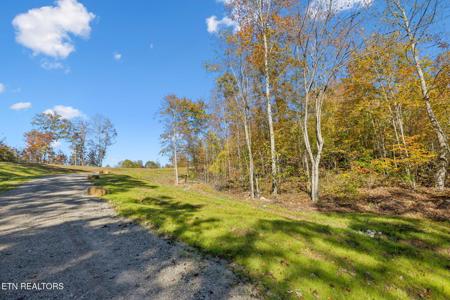 Sheep Ranch Road