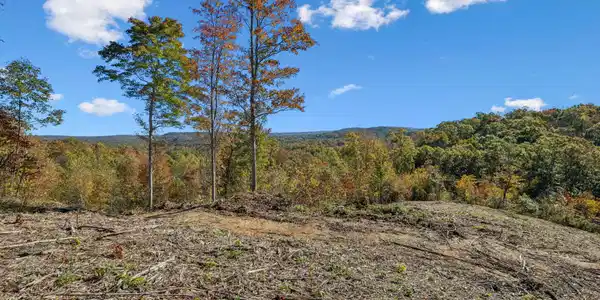 Image 3: 3-Sheep Ranch Rd - 1 - 003