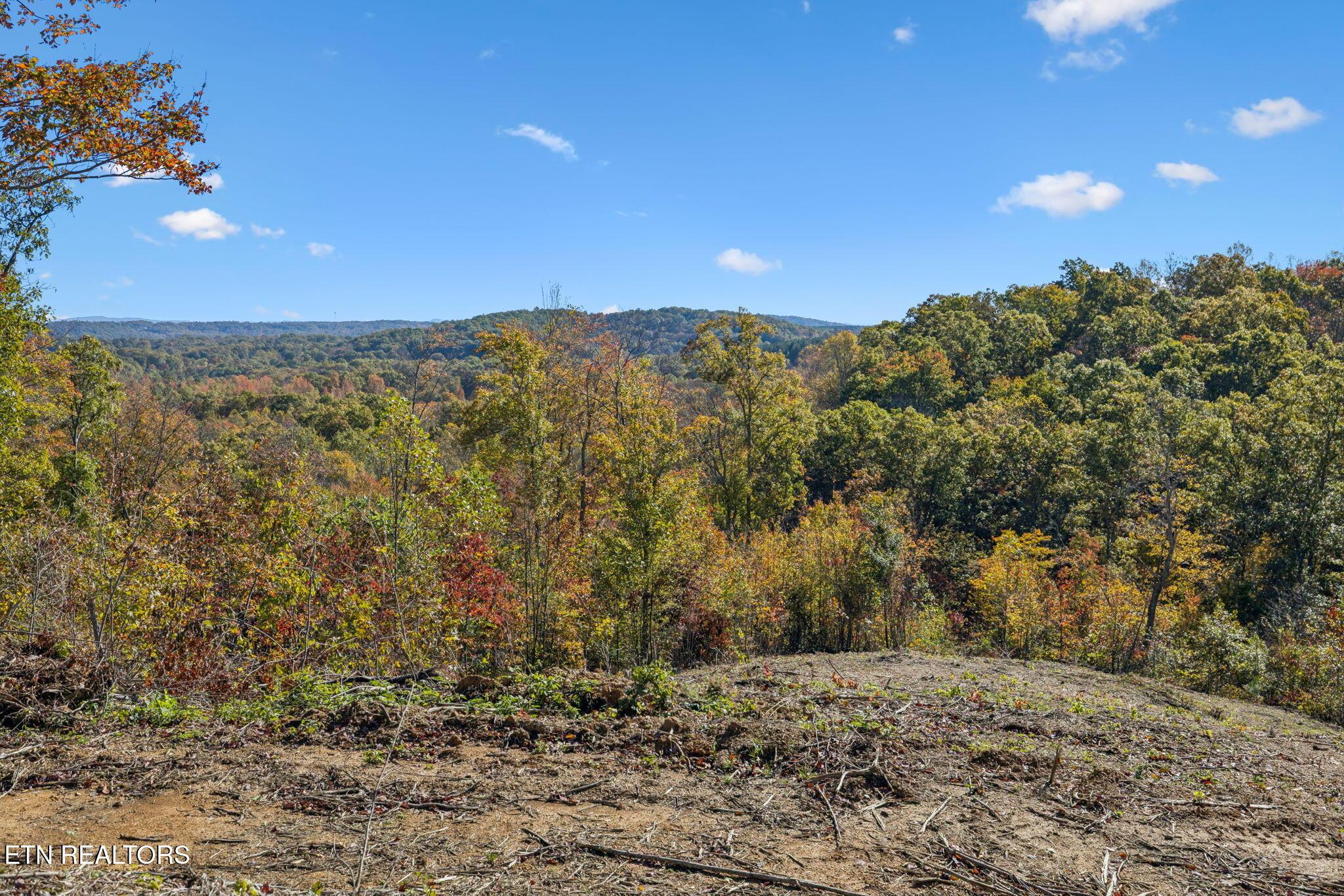 Image 4: 4-Sheep Ranch Rd - 1 - 004