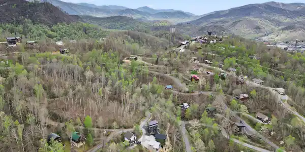 Image 2: 8 (1)