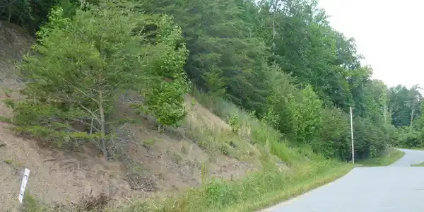 Lot 539 Whistle Valley Rd