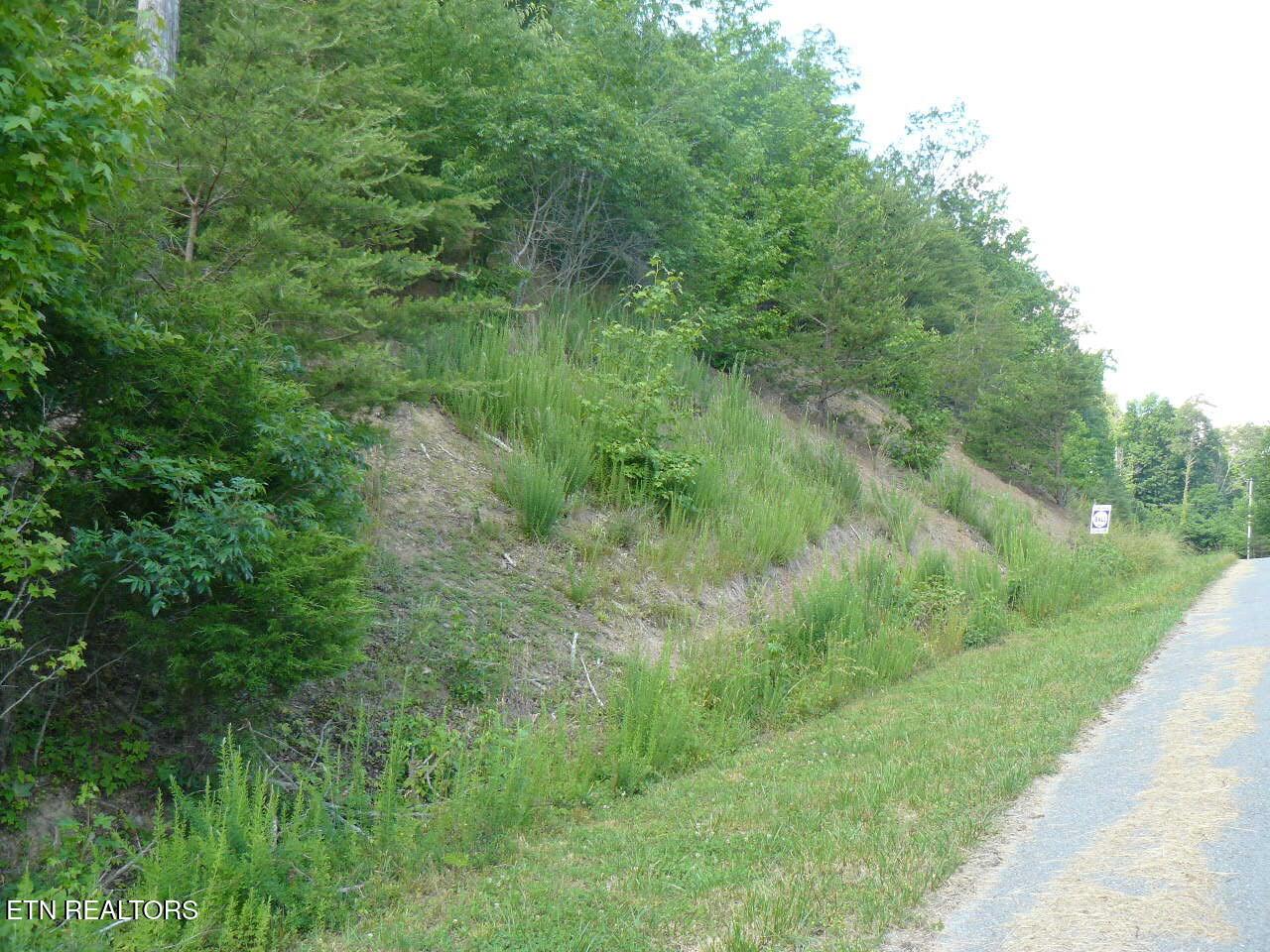 Image 3: P1370677