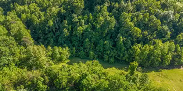 Image 4: DJI_20260508171836_0086_D