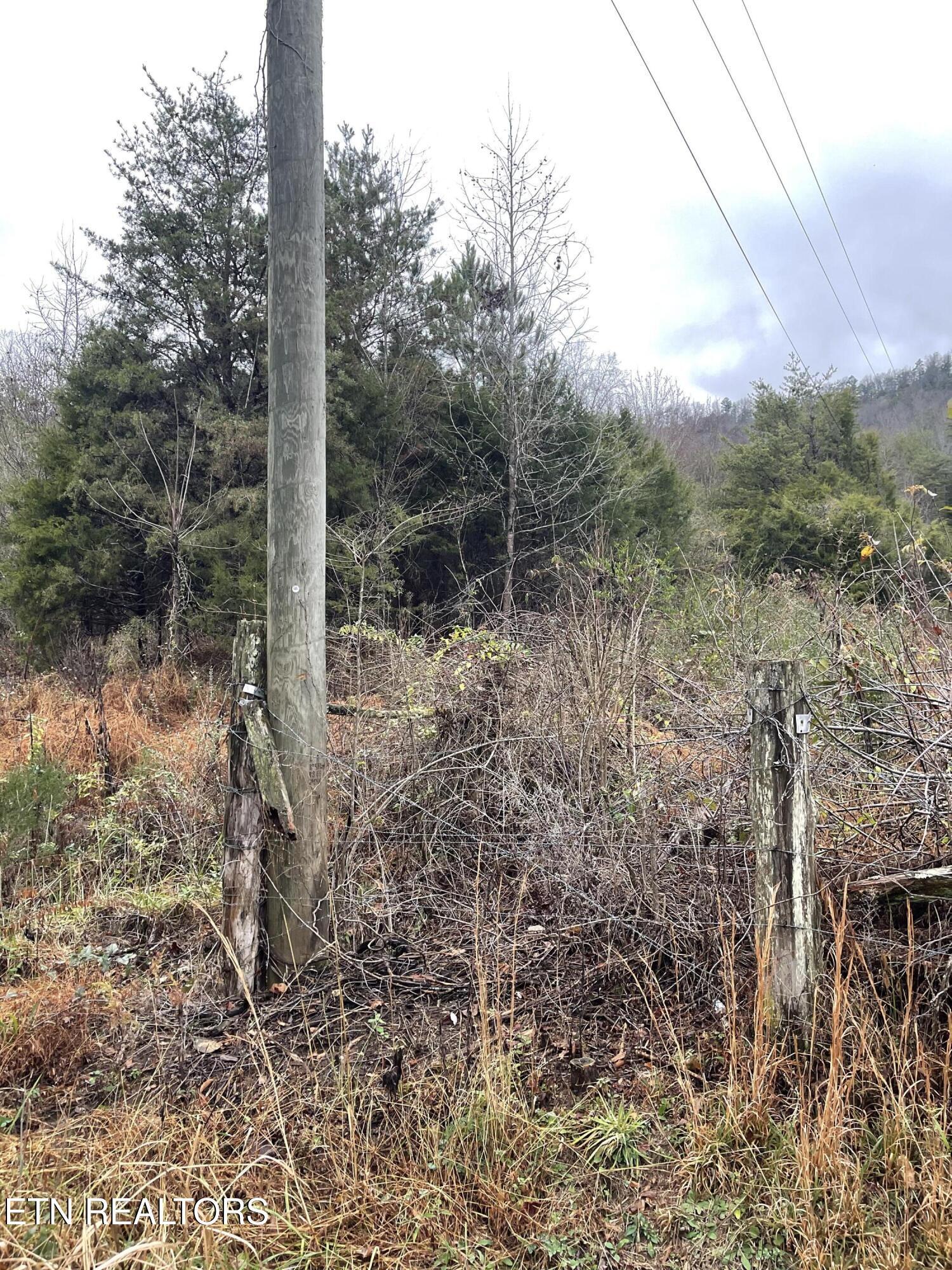 Image 4: IMG_7228